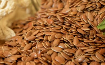 Omega 3 in der veganen Ernährung