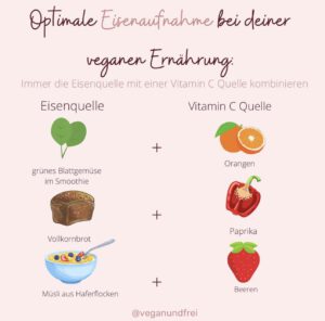 Eisenaufnahme Kombinationen vegane Ernährung