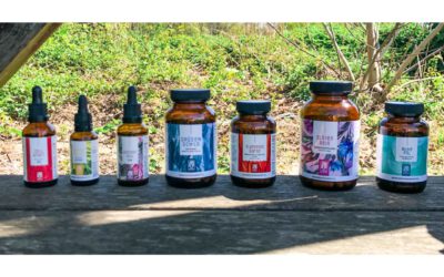 Vegane Ernährung – Diese Supplemente brauchst du wirklich!